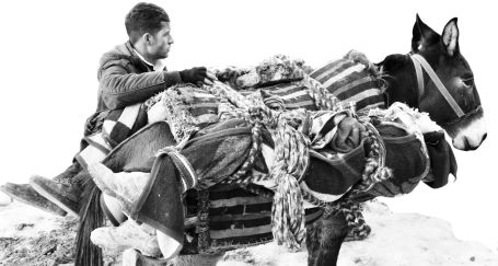 Okullar çocuksuz, sıralar öğrencisiz, oyunlar arkadaşsız