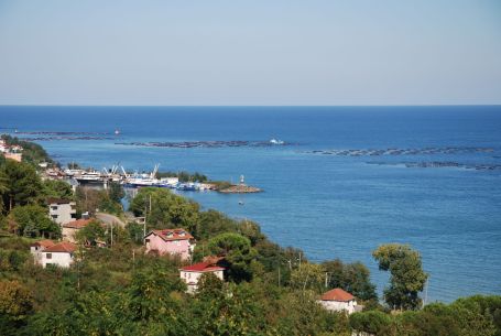 Karadeniz alarmda: Kurtarın beni bu balık çiftliklerinden