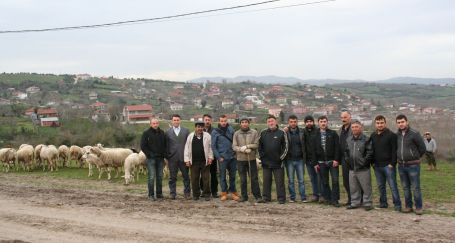 Hem zararlıymış hem değilmiş!