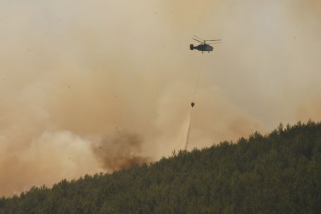 Orman yanar, yetkili bakar