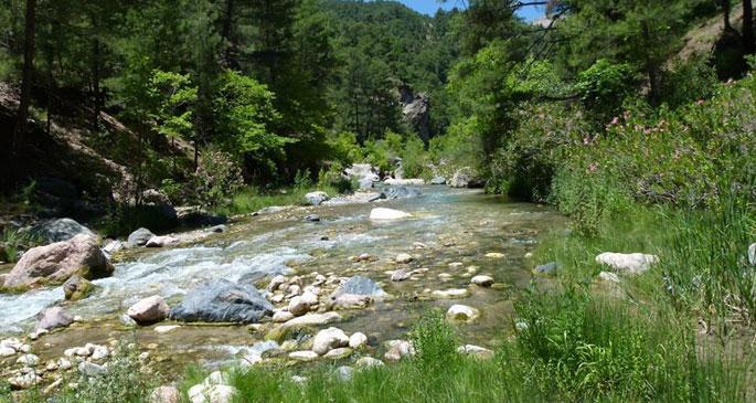 Doğal sitler ve sermaye birikiminde evreler