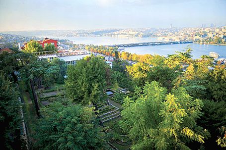 Tarihi Botanik Bahçesi müftülüğe devrediliyor