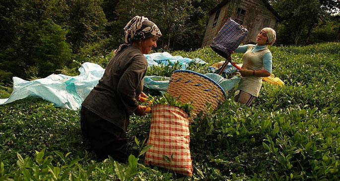 Karadeniz’de Fatma’yla bir gün