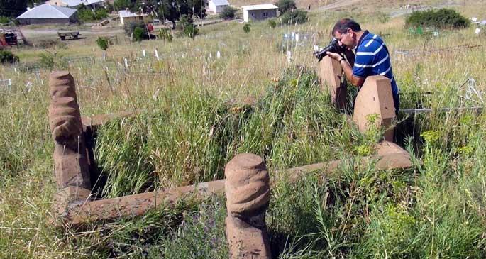 Kaybolmuş bitkileri mezarlıklarda arıyorlar