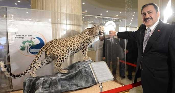 Leoparı öldürenlere dava açıldı