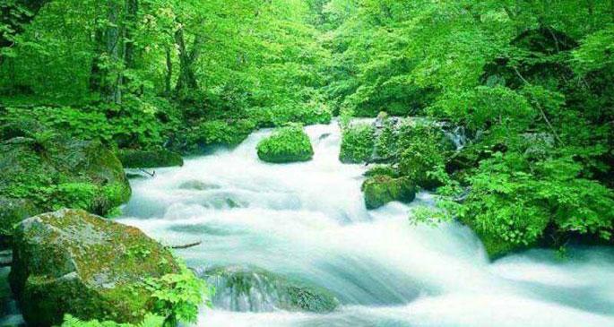 Termik, maden derken su kaynaklarında su kalmadı