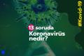 13 soruda koronavirüs nedir? Kovid-19'un belirtileri ve korunma yolları neler?