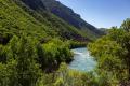 SES Dersim Şubesi: Munzur Festivali yapılmamalı