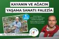 Kayanın ve ağacın yaşama sanatı: Falezia - İsmail Seyrek'in bahçesindeyiz | Çepeçevre Yaşam