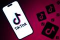 TikTok tartışması: Müdahale düşüncesi baskının artmasına dalalet