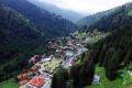 Rize Valisi, Ayder'deki doğa talanını itiraf etti