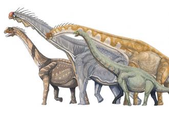 Bitkilerin evrimi ve sudan karaya geçiş -2: Dinozorlar çağı