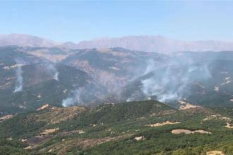 Dersim Kültür Sanat İnisiyatifi: Orman yangınlarının sorumlusu devlettir