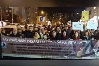 Kartal'da sokak hayvanlarının öldürülmesi protesto edildi