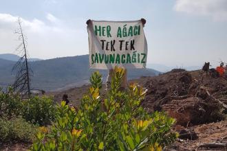 Kanada hükümeti, İzmir Barosunun Kaz Dağları mektubuna yanıt verdi