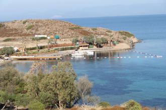 Bodrum'da antik limana inşa edilen iskele karara rağmen yıkılmıyor