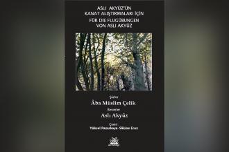 Ressam Aslı Akyüz çizdi, Şair Aba Müslim Çelik yazdı