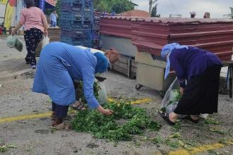 Harabe hayatlar değil, insan gibi yaşamak!