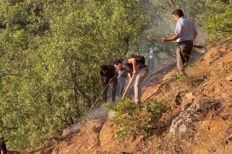 Dersim, Bingöl ve Bitlis'te orman yangınları sürüyor