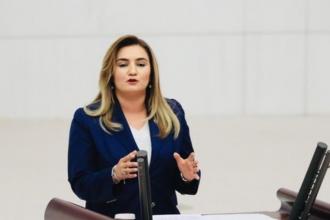 CHP'li Sevda Erdan Kılıç: Asılsız iddialarla nafaka hakkı gasbedilemez