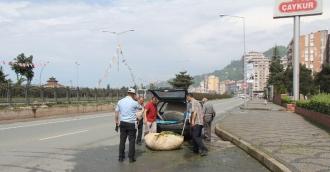 Çaykur önünde tek kişilik kota eylemi