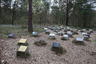 Bergen-Belsen Toplama Kampı