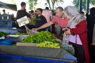 TEPAV: Eylül ayında gıda enflasyonu aylık 0.48, yıllık 49.13 oldu