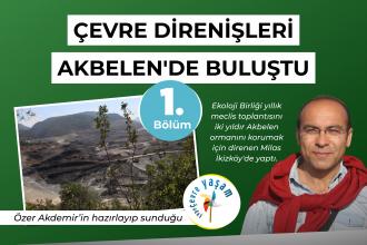 Çevre direnişleri Akbelen'de buluştu | Çepeçevre Yaşam