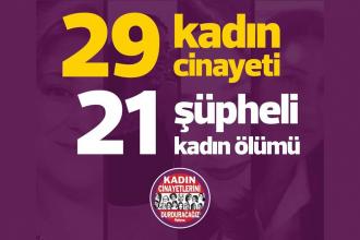 Ağustos'ta 29 kadın katledildi, 21 kadın şüpheli şekilde ölü bulundu