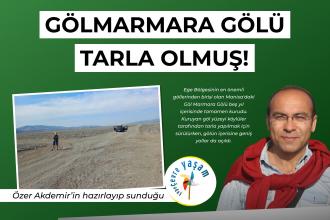 Göl Marmara tarla olmuş! | Çepeçevre Yaşam