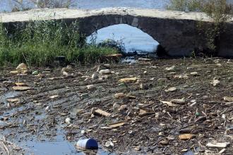 Büyük Menderes'teki tarihi Taşköprü yine çöplerle doldu