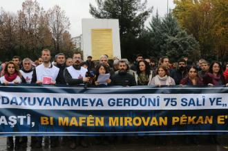 Diyarbakır'da insan hakları yürüyüşü: Kürt meselesini diyalogla çözün