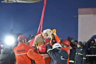 Tarım, hayvancılık ve deprem: Köylüye borç tokadı, meralara rant yağması