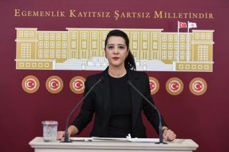 EMEP Milletvekili Sevda Karaca: Kaç tane Kürtçe tiyatro oyunu iptal edildi?