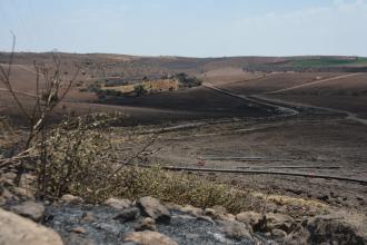 Diyarbakır-Mardin yangınında yeni rapor bekleniyor: "DEDAŞ’ın aklanmasına izin vermeyeceğiz"