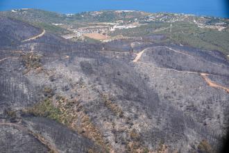 Kuşadası'na sıçrayan orman yangını saatler sonra kontrol altına alınabildi