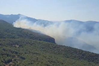 Muğla Milas'ta orman yangını çıktı