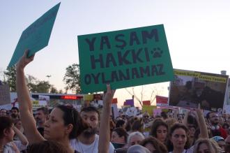 TVHB: Hayvanların Korunması Hakkında Uygulama Yönetmeliği tıbbi etik ve hayvan hakları ilkeleriyle çelişiyor