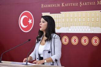 Sağlık Bakanlığı bütçe görüşmelerinde konuşan EMEP'li Karaca: Sisteminiz ölüm, hastalık ve çete yaratarak kâr ediyor