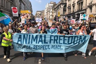 Londra’da hayvan hakları savunucuları Türkiye’yi protesto etti