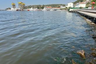 İzmir Körfezi’nin kirliliğinde son durum nedir? | Smyrna’dan İzmir’e Kentin Gündemi