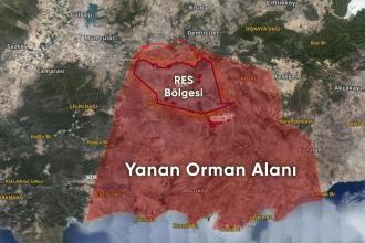 Yanan ormanın Alman şirkete peşkeşi resmi belgelerde