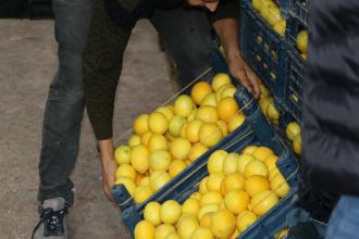 İade edilen ürünlere dair sorulara Ticaret Bakanı’ndan “prosedür”lü yanıt