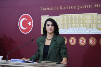 EMEP’li Karaca: Suriye halklarının geleceği emperyalist devletlerin garantörlüğüne bırakılamaz