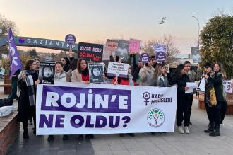 Antepli kadınlar Rojin Kabaiş'in akıbetini sordu