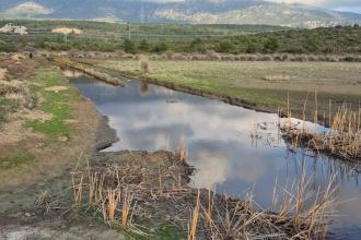 Karaburun'da İris Gölü için planlara itiraz edildi