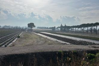 Verimli ovaya, akarsuya, fidanlığa kaçak fabrika