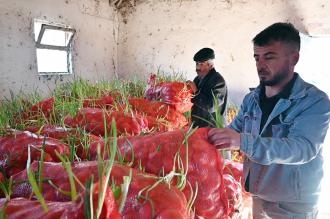 Yozgat’ta patates tarlada, soğan depoda kaldı