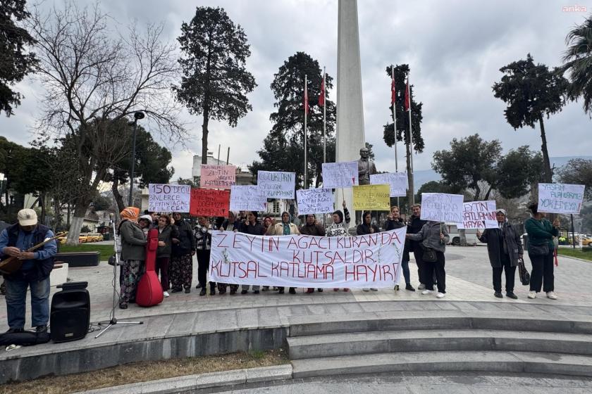 Tire-Belevi yolunda ağaç kıyımına köylülerden tepki: Zeytinlerimize dokunmayın