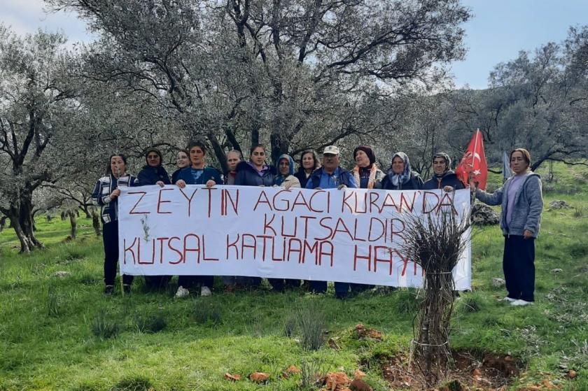 Ağaç katliamına karşı Çayırlı köylüleri: “Biz bu kadar mı yokuz?”